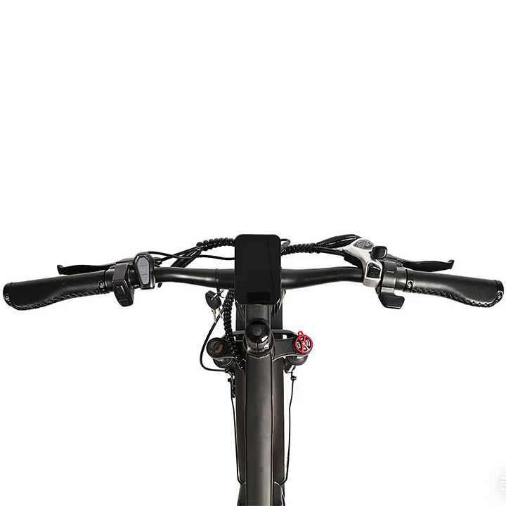 Headeer BD2640 26" x 4.0" Fat Tire Electric Bike